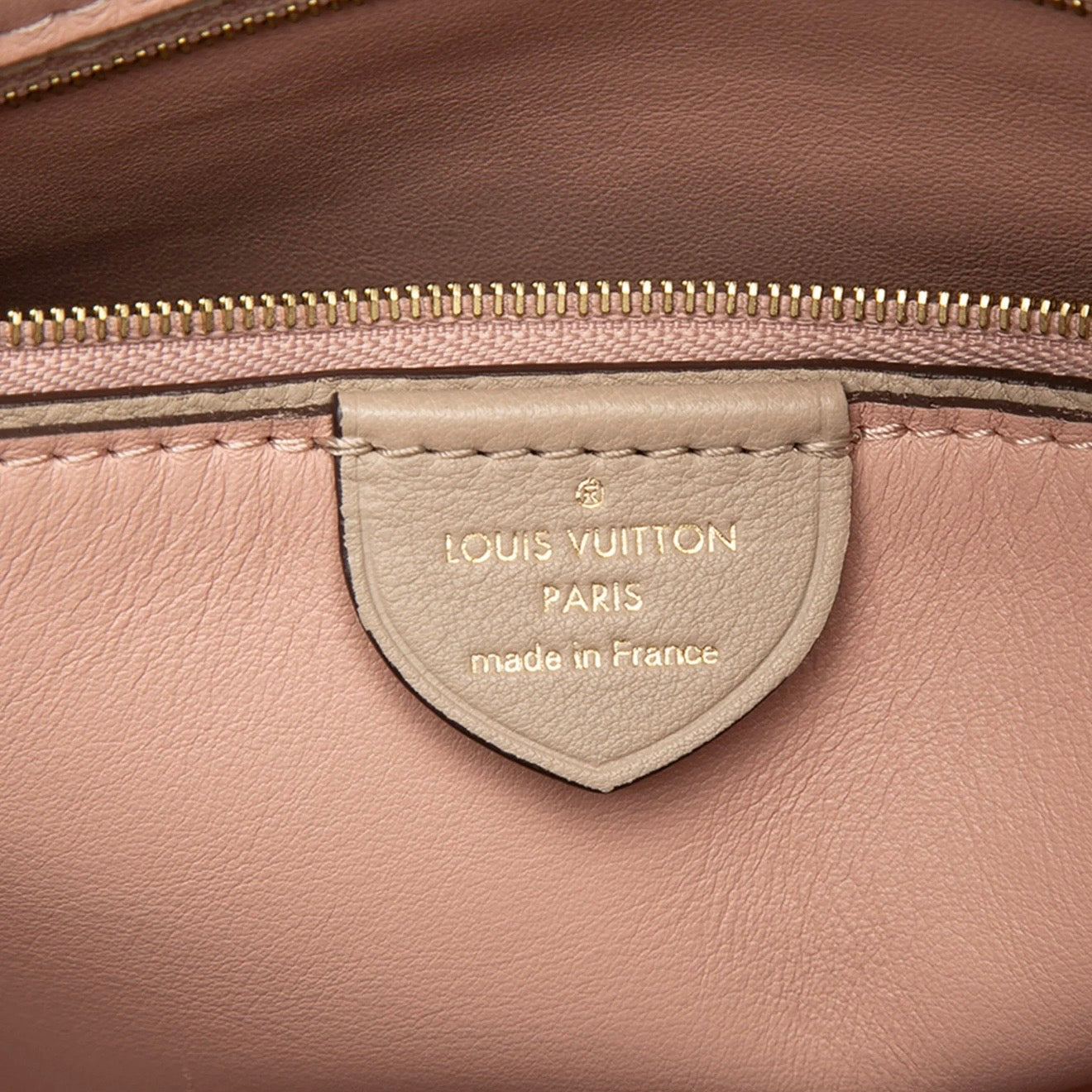 Louis Vuitton Taurillion Tournon Hobo Bag